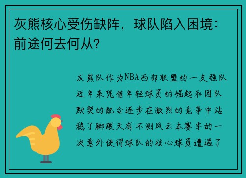 灰熊核心受伤缺阵，球队陷入困境：前途何去何从？